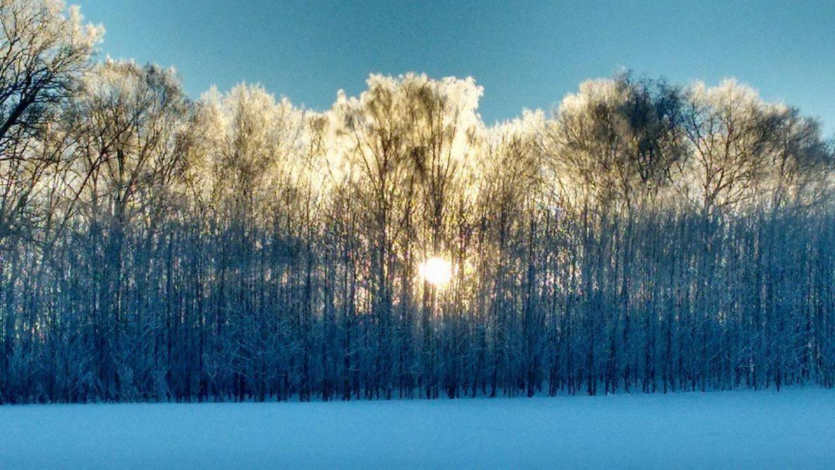 Chalupa Nad Popelkou Lomnice nad Popelkou Buitenkant foto