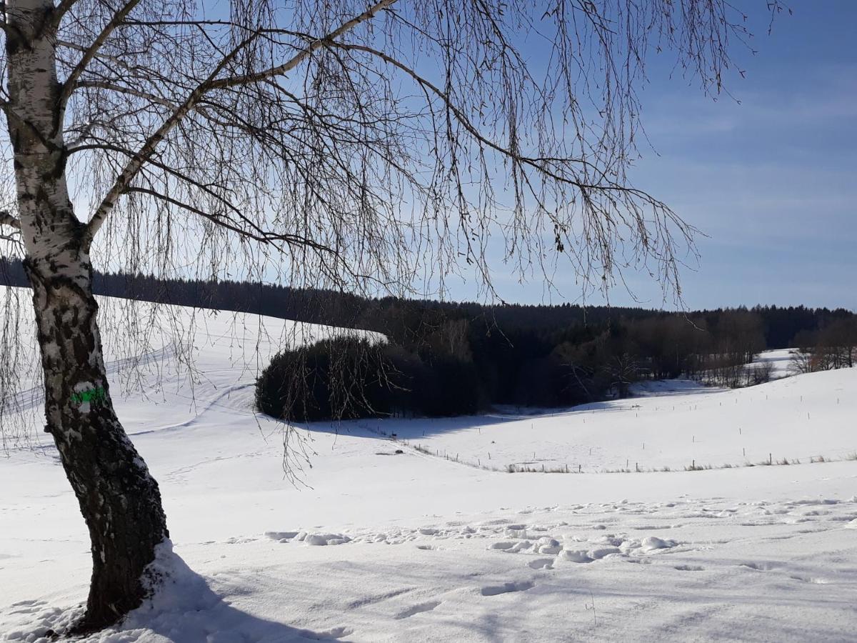 Chalupa Nad Popelkou Lomnice nad Popelkou Buitenkant foto